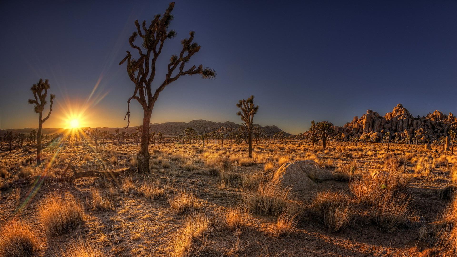 Desert Bread | Living Sacramentally through Faith and the Arts